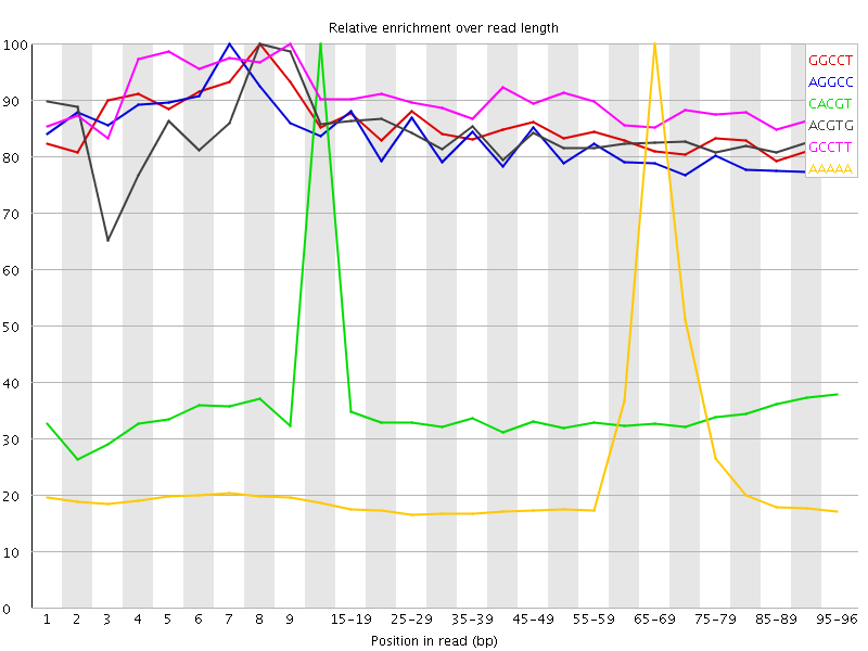 Kmer graph