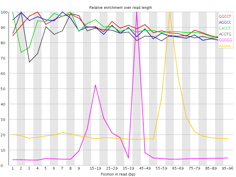 Kmer graph