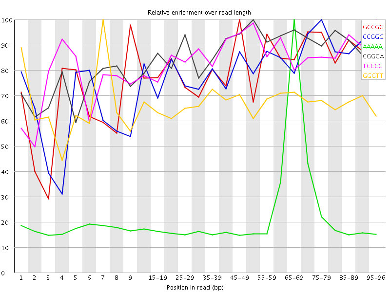 Kmer graph